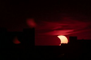 IMG_4419.jpg