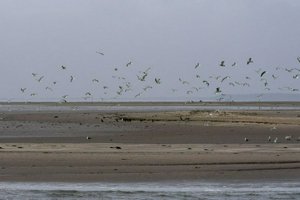 IMG_7460.jpg