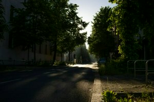 IMG_6185.jpg
