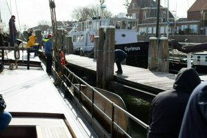 IMG_4993.jpg