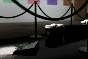 IMG_1494.jpg