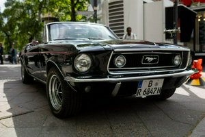 IMG_1780.jpg