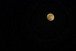 IMG_6494.jpg