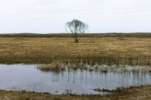 IMG_5908.jpg