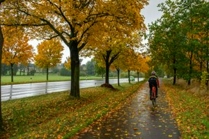 IMG_6807-Enhanced-SR_новый размер.jpg