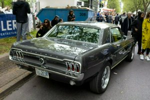 IMG_2031.jpg