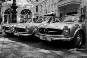 IMG_1765.jpg