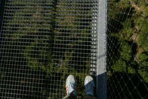 IMG_2456.jpg